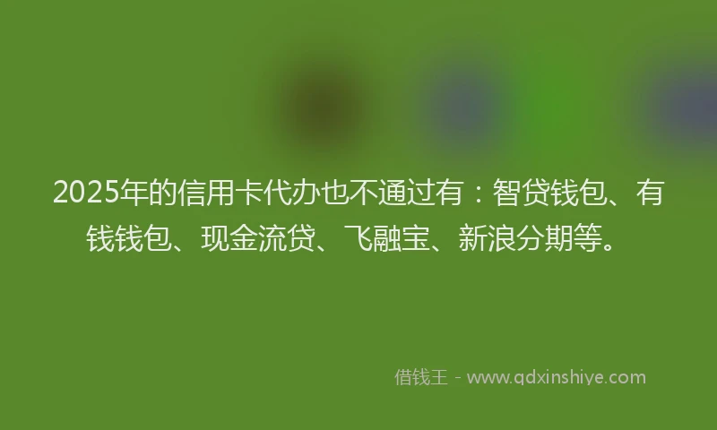 2025年的信用卡代办也不通过有：智贷钱包、有钱钱包、现金流贷、飞融宝、新浪分期等。