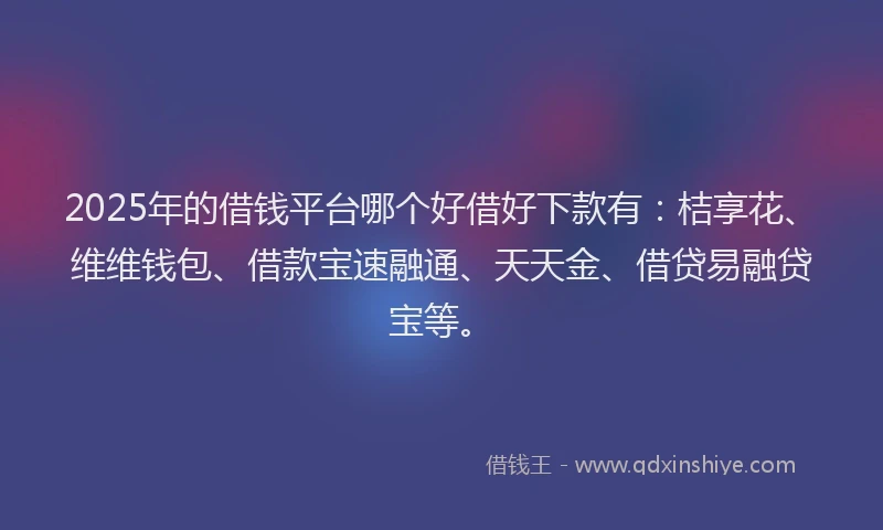 2025年的借钱平台哪个好借好下款有:桔享花、维维钱包、借款宝速融通、天天金、借贷易融贷宝等。