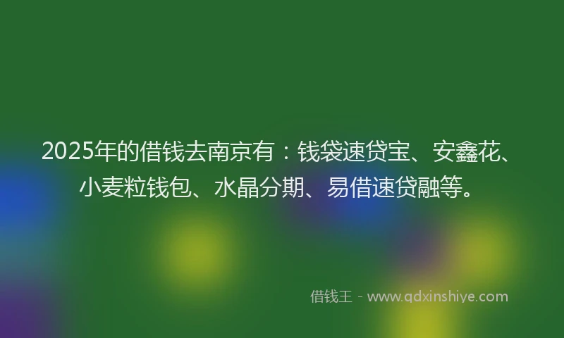 2025年的借钱去南京有：钱袋速贷宝、安鑫花、小麦粒钱包、水晶分期、易借速贷融等。
