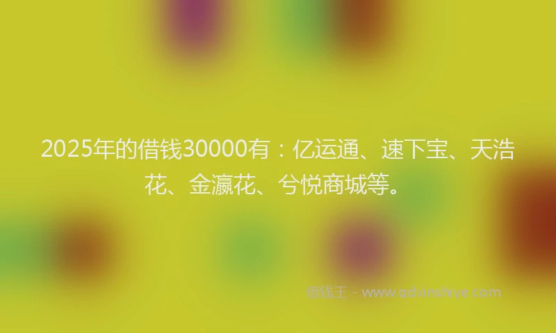 2025年的借钱30000有：亿运通、速下宝、天浩花、金瀛花、兮悦商城等。