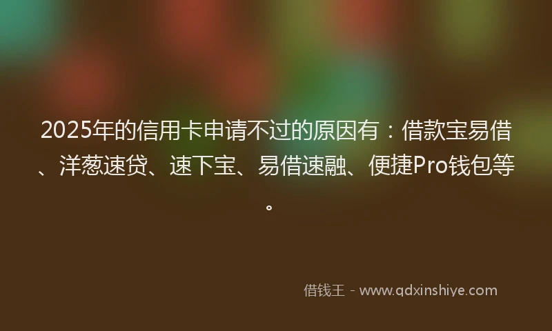 2025年的信用卡申请不过的原因有：借款宝易借、洋葱速贷、速下宝、易借速融、便捷Pro钱包等。