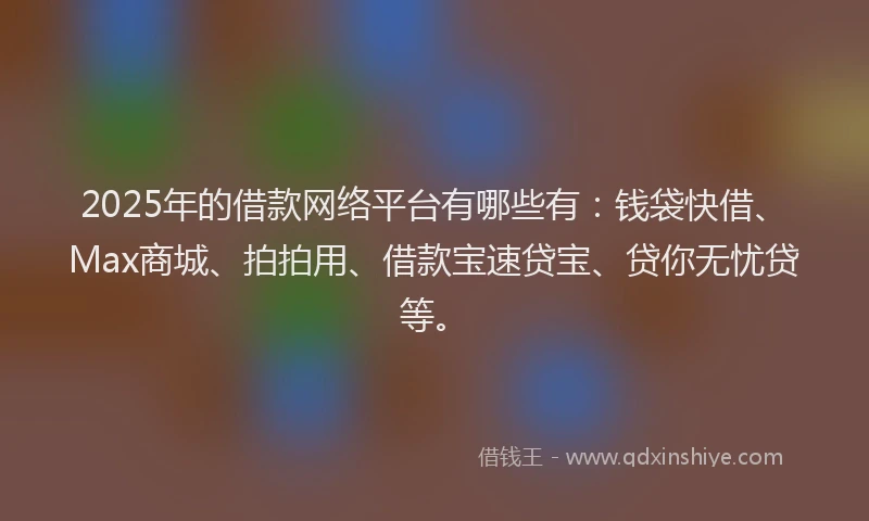 2025年的借款网络平台有哪些有：钱袋快借、Max商城、拍拍用、借款宝速贷宝、贷你无忧贷等。