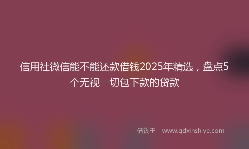 信用社微信能不能还款借钱2025年精选，盘点5个无视一切包下款的贷款