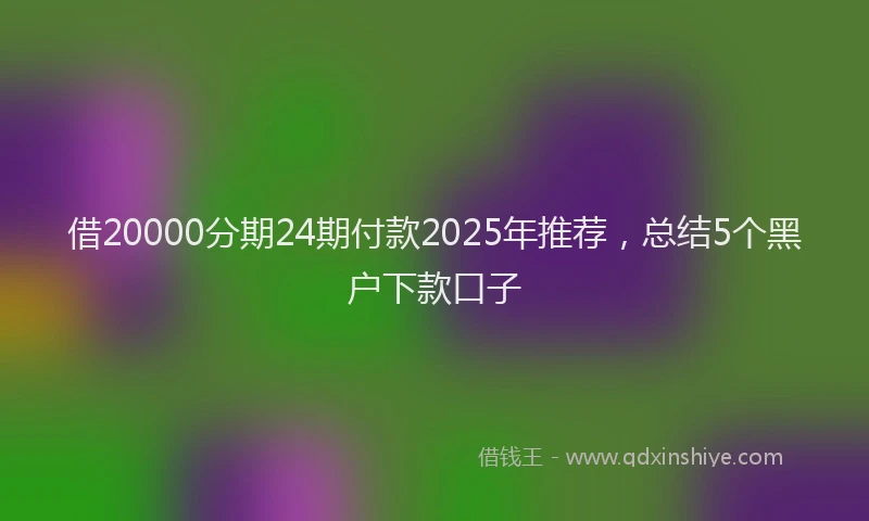 借20000分期24期付款2025年推荐，总结5个黑户下款口子