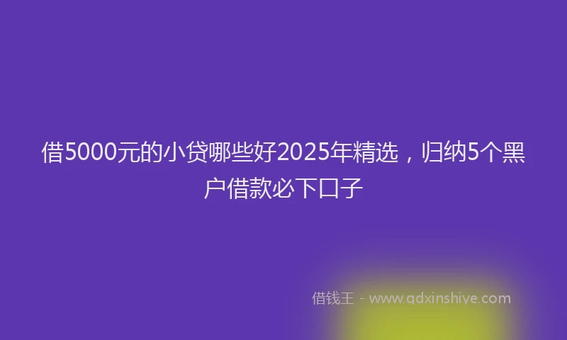 借5000元的小贷哪些好2025年精选，归纳5个黑户借款必下口子