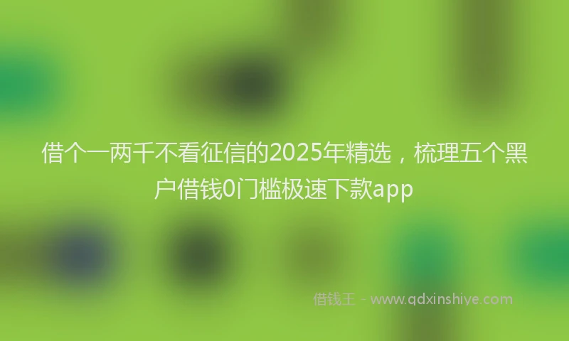 借个一两千不看征信的2025年精选，梳理五个黑户借钱0门槛极速下款app
