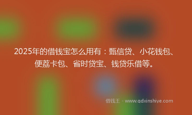 2025年的借钱宝怎么用有：甄信贷、小花钱包、便荔卡包、省时贷宝、钱贷乐借等。