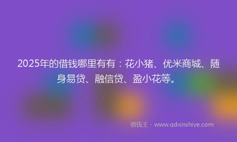 2025年的借钱哪里有有：花小猪、优米商城、随身易贷、融信贷、盈小花等。