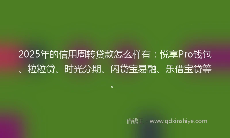 2025年的信用周转贷款怎么样有：悦享Pro钱包、粒粒贷、时光分期、闪贷宝易融、乐借宝贷等。