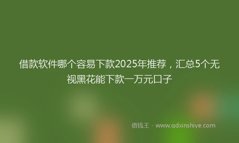 借款软件哪个容易下款2025年推荐，汇总5个无视黑花能下款一万元口子