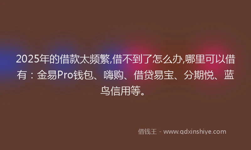 2025年的借款太频繁,借不到了怎么办,哪里可以借有：金易Pro钱包、嗨购、借贷易宝、分期悦、蓝鸟信用等。