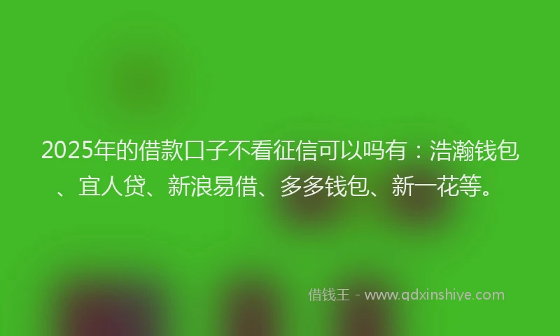 2025年的借款口子不看征信可以吗有：浩瀚钱包、宜人贷、新浪易借、多多钱包、新一花等。