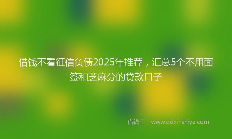 借钱不看征信负债2025年推荐，汇总5个不用面签和芝麻分的贷款口子