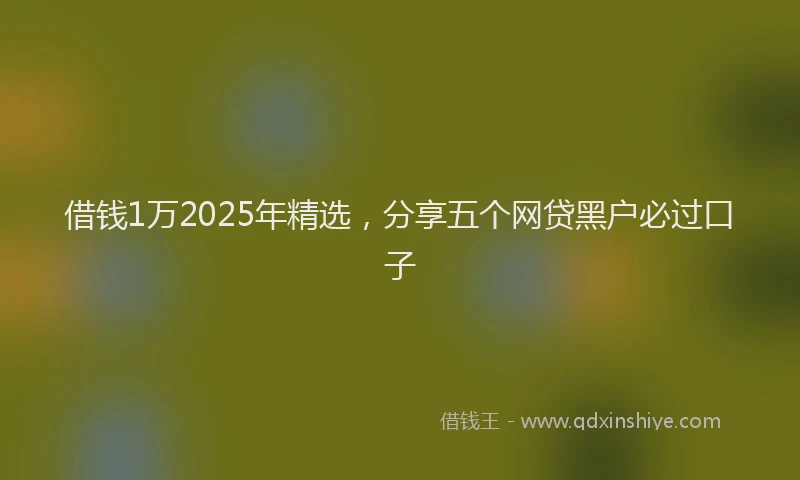 借钱1万2025年精选,分享五个网贷黑户必过口子