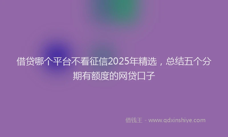 借贷哪个平台不看征信2025年精选，总结五个分期有额度的网贷口子