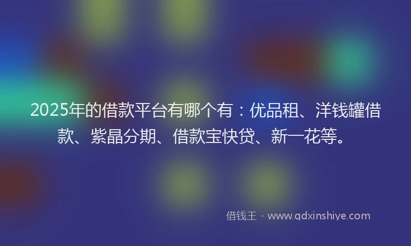 2025年的借款平台有哪个有：优品租、洋钱罐借款、紫晶分期、借款宝快贷、新一花等。