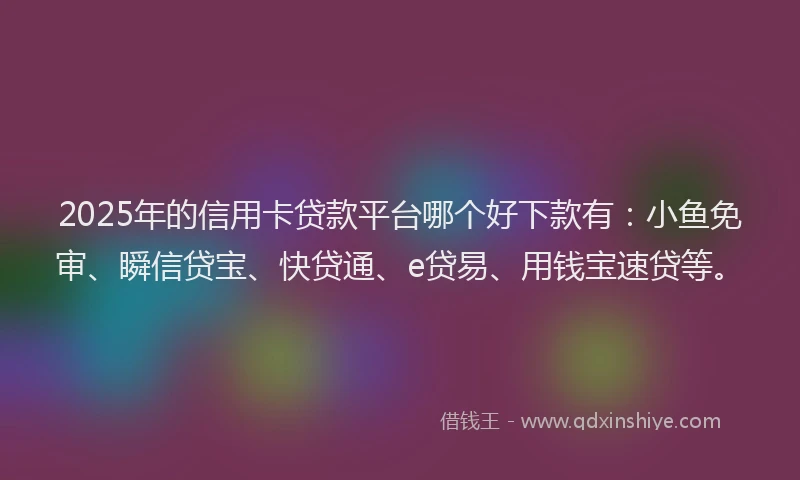 2025年的信用卡贷款平台哪个好下款有:小鱼免审、瞬信贷宝、快贷通、e贷易、用钱宝速贷等。