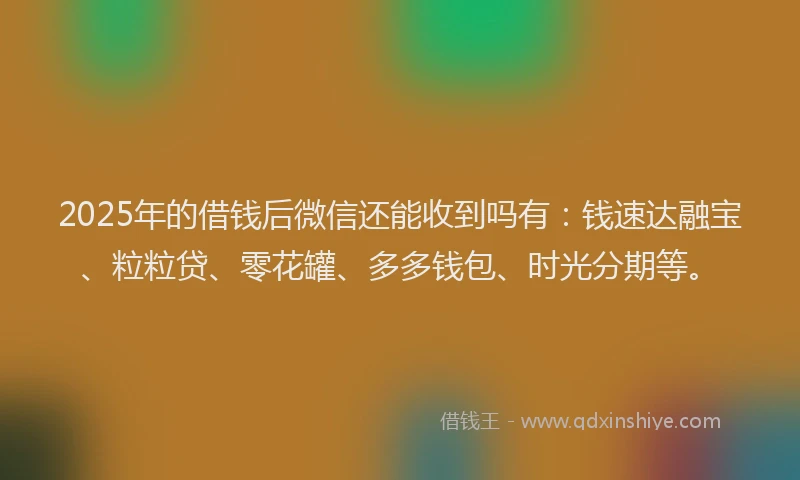 2025年的借钱后微信还能收到吗有：钱速达融宝、粒粒贷、零花罐、多多钱包、时光分期等。