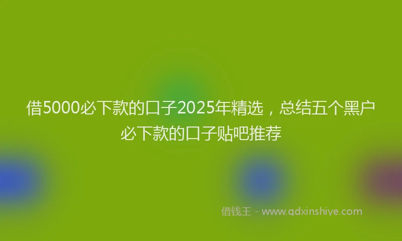 借5000必下款的口子2025年精选，总结五个黑户必下款的口子贴吧推荐