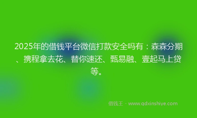 2025年的借钱平台微信打款安全吗有：森森分期、携程拿去花、替你速还、甄易融、壹起马上贷等。