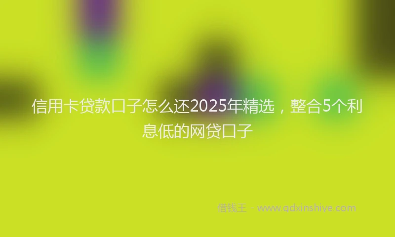 信用卡贷款口子怎么还2025年精选，整合5个利息低的网贷口子