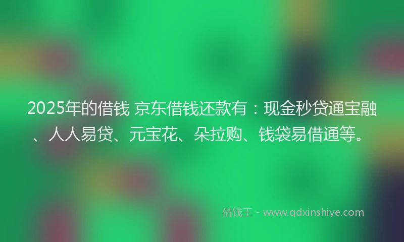 2025年的借钱 京东借钱还款有：现金秒贷通宝融、人人易贷、元宝花、朵拉购、钱袋易借通等。