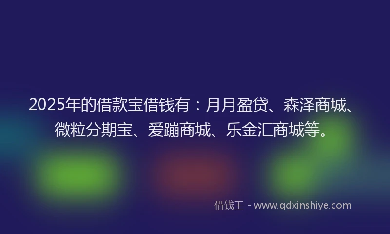 2025年的借款宝借钱有：月月盈贷、森泽商城、微粒分期宝、爱蹦商城、乐金汇商城等。