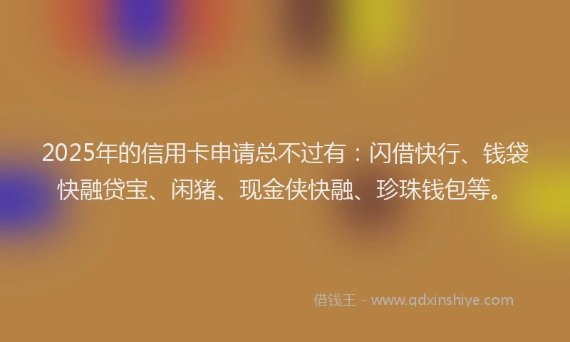 2025年的信用卡申请总不过有：闪借快行、钱袋快融贷宝、闲猪、现金侠快融、珍珠钱包等。