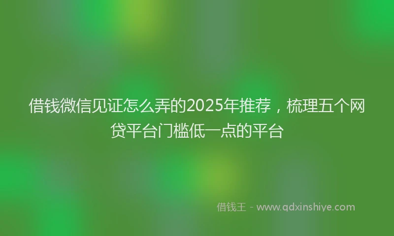 借钱微信见证怎么弄的2025年推荐，梳理五个网贷平台门槛低一点的平台