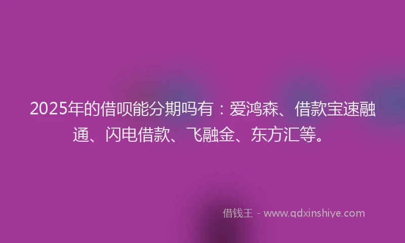 2025年的借呗能分期吗有：爱鸿森、借款宝速融通、闪电借款、飞融金、东方汇等。