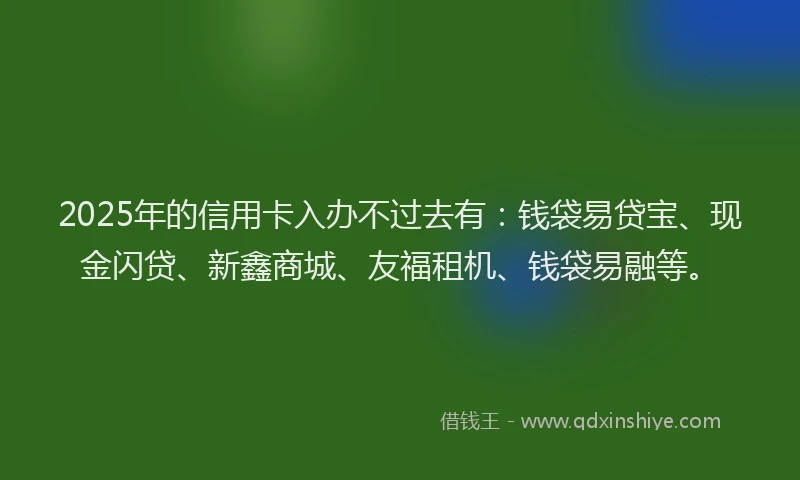 2025年的信用卡入办不过去有：钱袋易贷宝、现金闪贷、新鑫商城、友福租机、钱袋易融等。