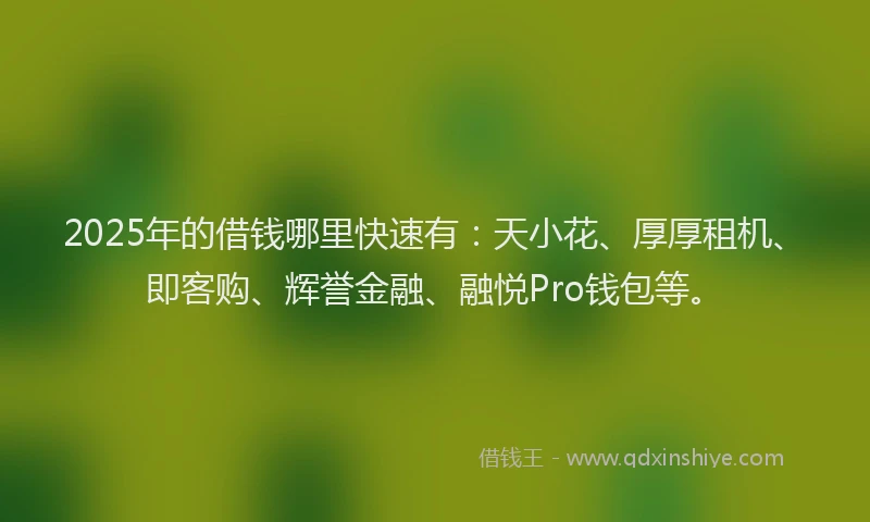 2025年的借钱哪里快速有：天小花、厚厚租机、即客购、辉誉金融、融悦Pro钱包等。