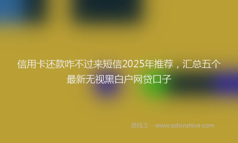 信用卡还款咋不过来短信2025年推荐，汇总五个最新无视黑白户网贷口子