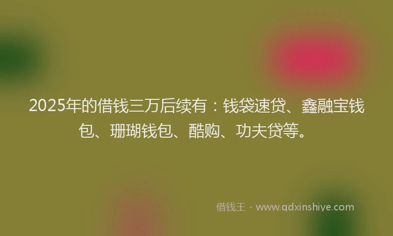 2025年的借钱三万后续有：钱袋速贷、鑫融宝钱包、珊瑚钱包、酷购、功夫贷等。