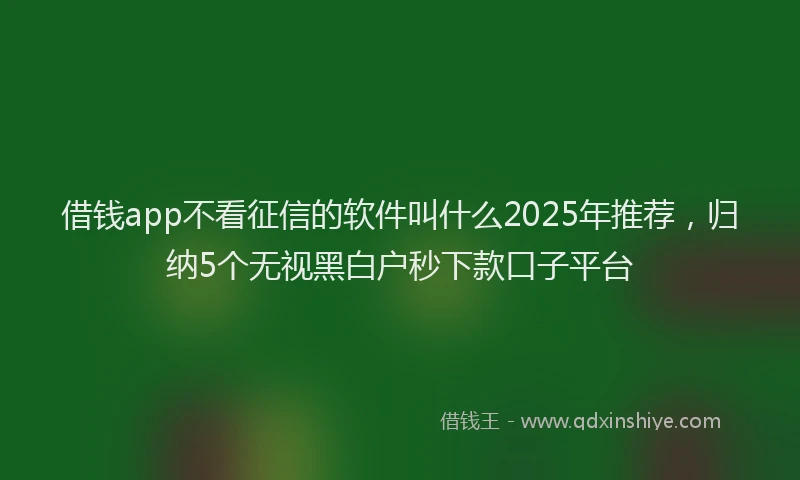 借钱app不看征信的软件叫什么2025年推荐，归纳5个无视黑白户秒下款口子平台