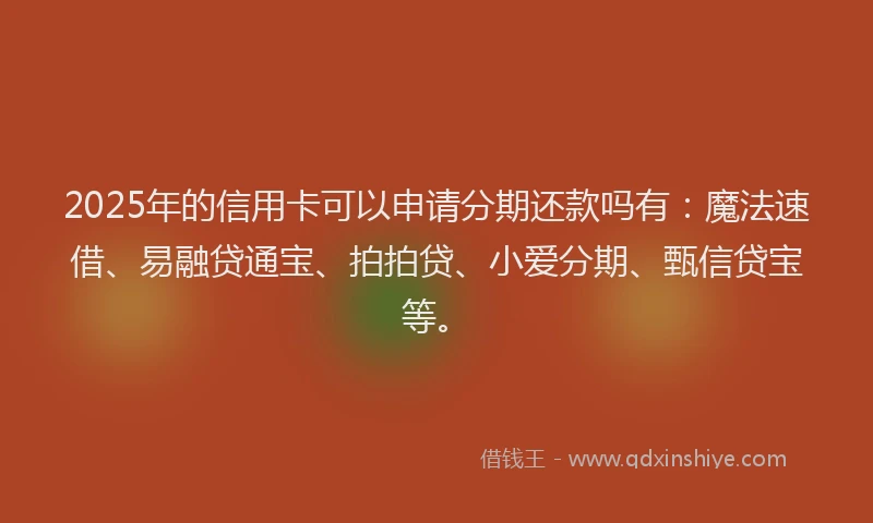 2025年的信用卡可以申请分期还款吗有：魔法速借、易融贷通宝、拍拍贷、小爱分期、甄信贷宝等。