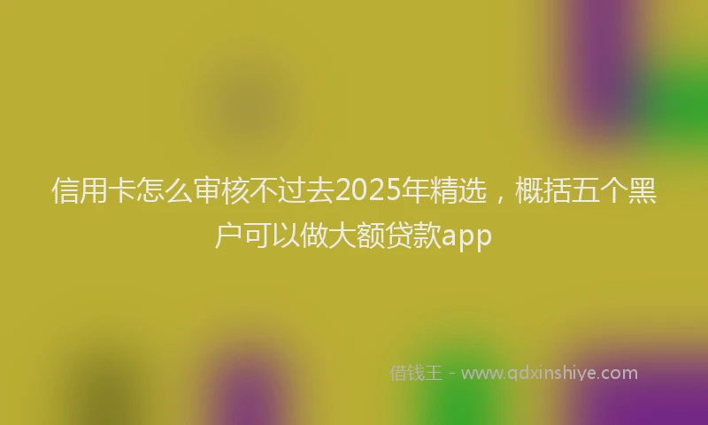 信用卡怎么审核不过去2025年精选，概括五个黑户可以做大额贷款app