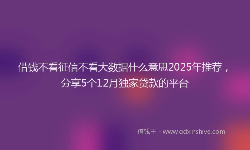 借钱不看征信不看大数据什么意思2025年推荐，分享5个12月独家贷款的平台