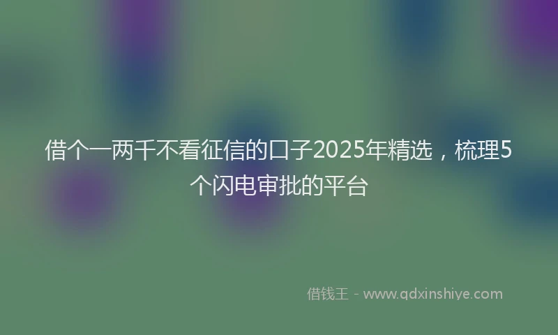 借个一两千不看征信的口子2025年精选，梳理5个闪电审批的平台