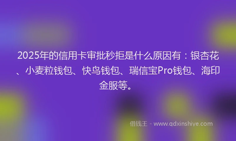 2025年的信用卡审批秒拒是什么原因有：银杏花、小麦粒钱包、快鸟钱包、瑞信宝Pro钱包、海印金服等。