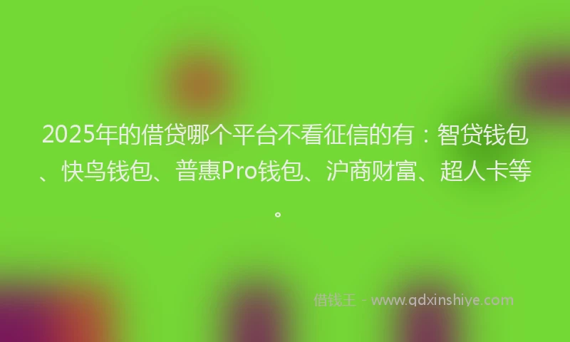 2025年的借贷哪个平台不看征信的有：智贷钱包、快鸟钱包、普惠Pro钱包、沪商财富、超人卡等。