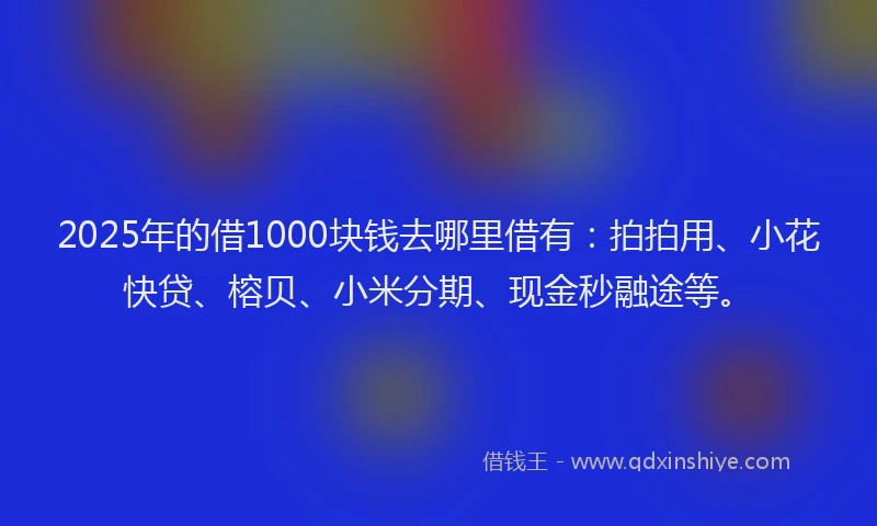 2025年的借1000块钱去哪里借有：拍拍用、小花快贷、榕贝、小米分期、现金秒融途等。