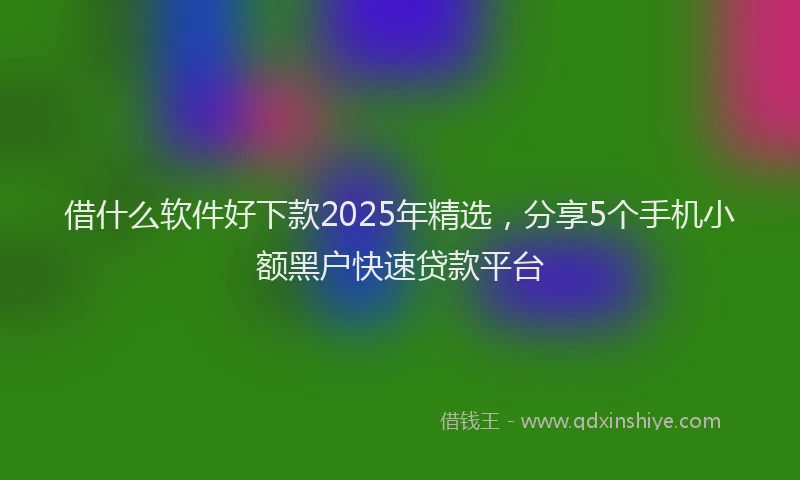借什么软件好下款2025年精选，分享5个手机小额黑户快速贷款平台