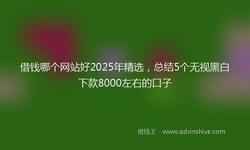 借钱哪个网站好2025年精选，总结5个无视黑白下款8000左右的口子