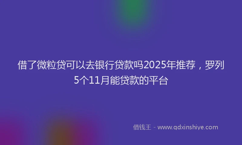 借了微粒贷可以去银行贷款吗2025年推荐，罗列5个11月能贷款的平台