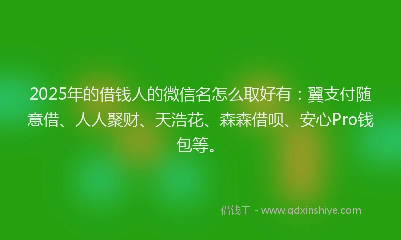 2025年的借钱人的微信名怎么取好有：翼支付随意借、人人聚财、天浩花、森森借呗、安心Pro钱包等。