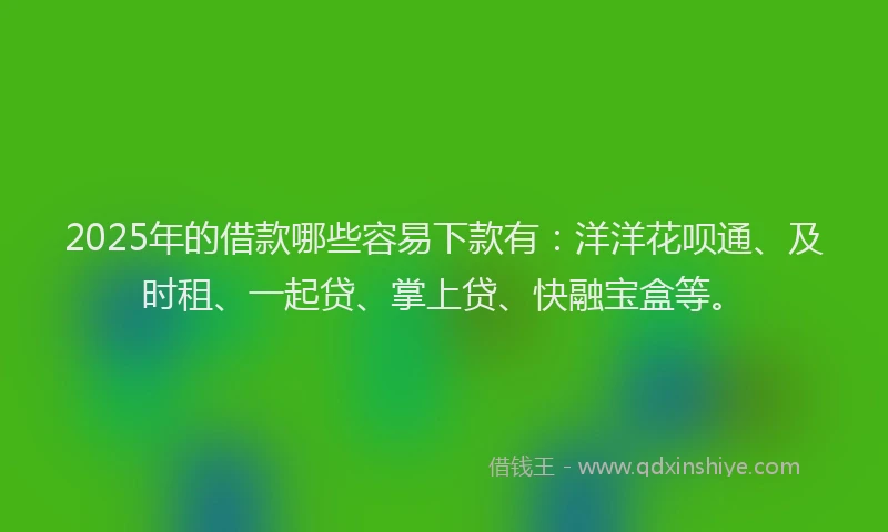2025年的借款哪些容易下款有：洋洋花呗通、及时租、一起贷、掌上贷、快融宝盒等。
