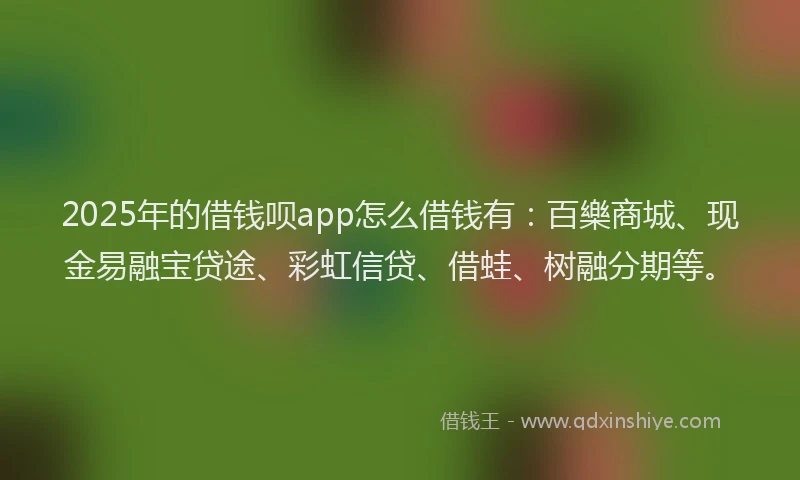 2025年的借钱呗app怎么借钱有：百樂商城、现金易融宝贷途、彩虹信贷、借蛙、树融分期等。