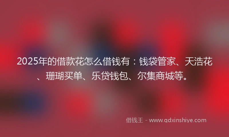 2025年的借款花怎么借钱有：钱袋管家、天浩花、珊瑚买单、乐贷钱包、尔集商城等。