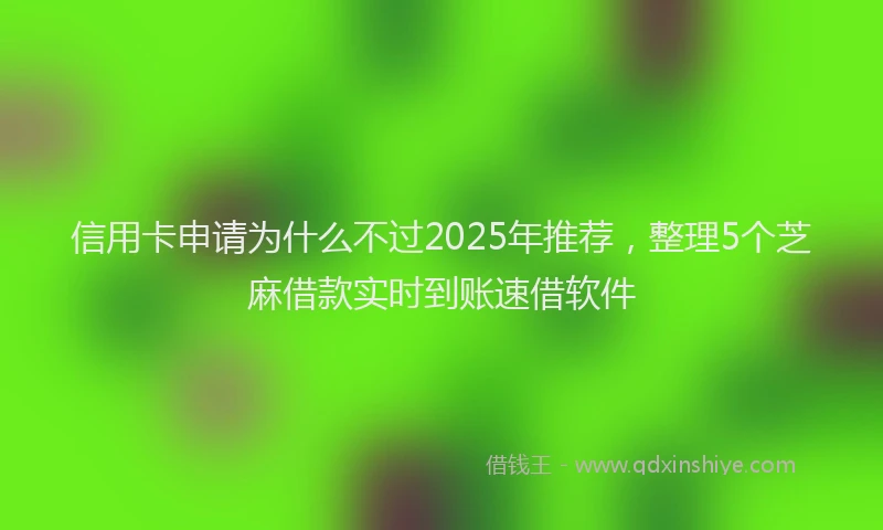 信用卡申请为什么不过2025年推荐，整理5个芝麻借款实时到账速借软件